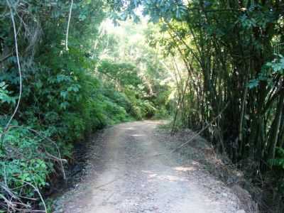 TRILHA DO LOBO-GUARA, POR POR - GERALDINHO - GUARE - SP