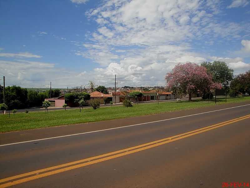 RODOVIA JOS CORONA, SP-328/326, QUE D ACESSO A CIDADE DE GUARIBA. POR MARCO AURLIO ESPARZA  - GUARIBA - SP