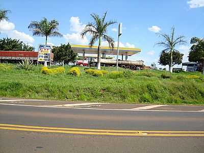 GUARIROBA-FOTO:UMBERTO MORENO  - GUARIROBA - SP