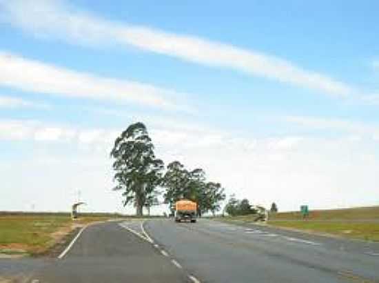 RODOVIA GUARIZINHO - GUARIZINHO - SP