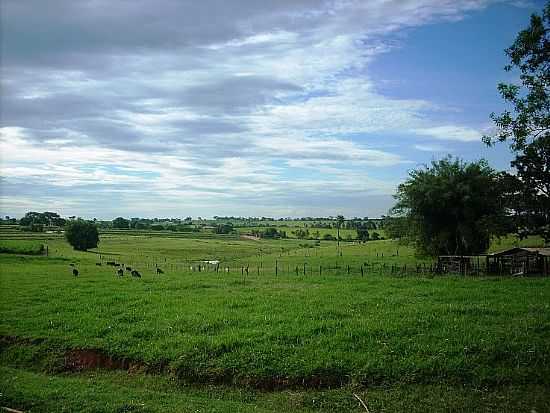 GUZOLNDIA-SP-REA RURAL-FOTO:MAURONESIC - GUZOLNDIA - SP