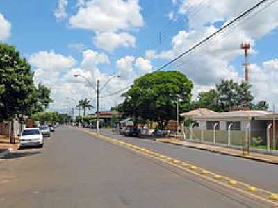 AVENIDA-FOTO:EDUARDO M. P. DANTAS - HERCULNDIA - SP