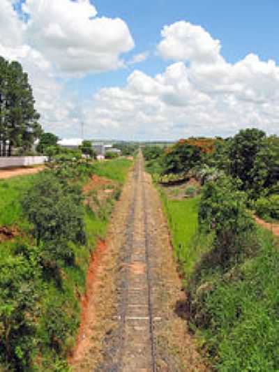 FERROVIA-FOTO:EDUARDO M. P. DANTAS - HERCULNDIA - SP