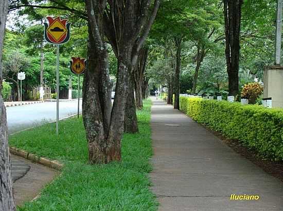 HOLAMBRA-SP-ALAMEDA ARBORIZADA-FOTO:LEANDRO A LLUCIANO - HOLAMBRA - SP