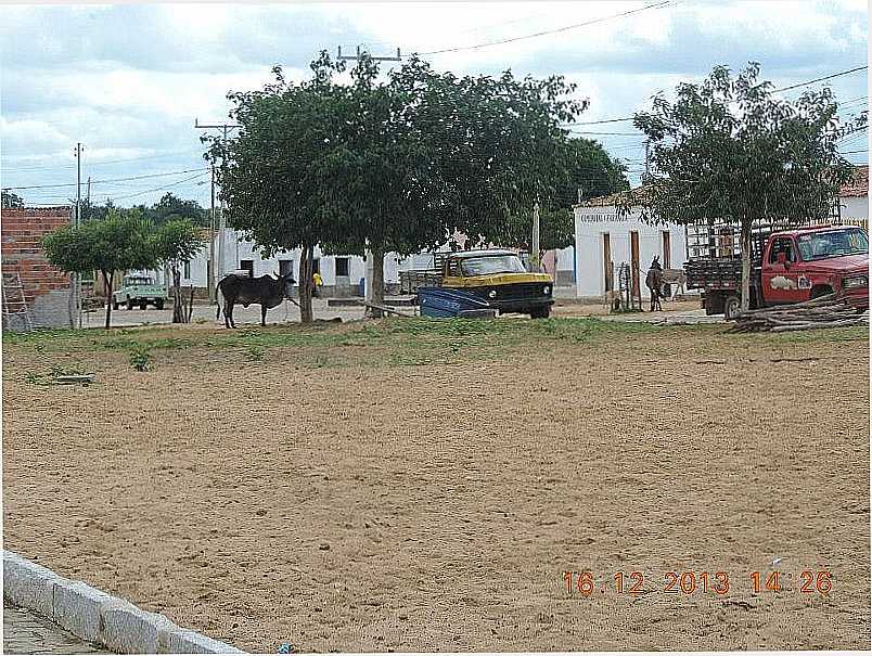 IMAGENS DA CIDADE DE PILO ARCADO - BA - PILO ARCADO - BA