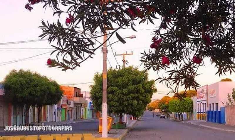 IMAGENS DA CIDADE DE PILO ARCADO - BA - PILO ARCADO - BA