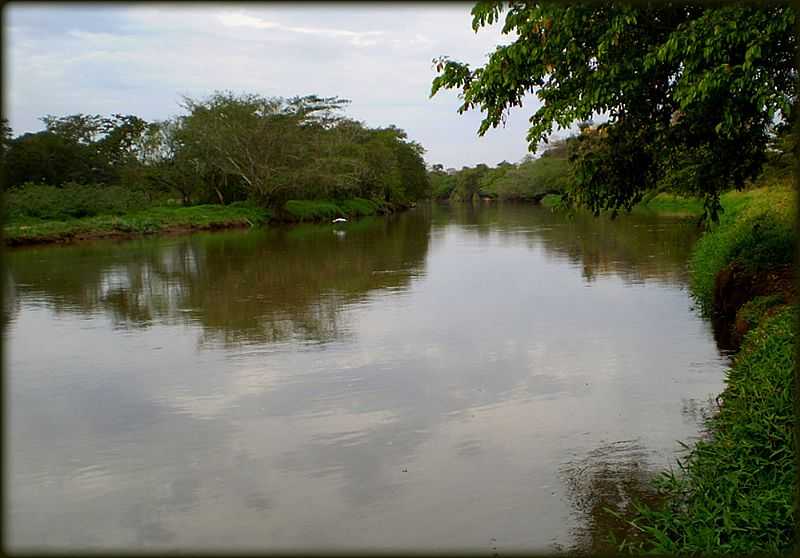 IBITINGA-SP-RIO JACAR GUA-FOTO:ZEKINHA - IBITINGA - SP