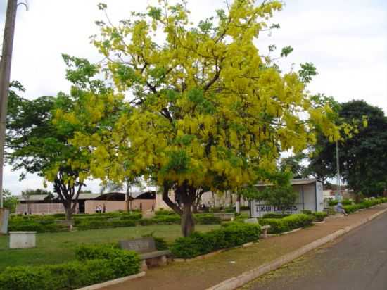 PRAA DA MATRIZ, POR SUELI - IBITIVA - SP