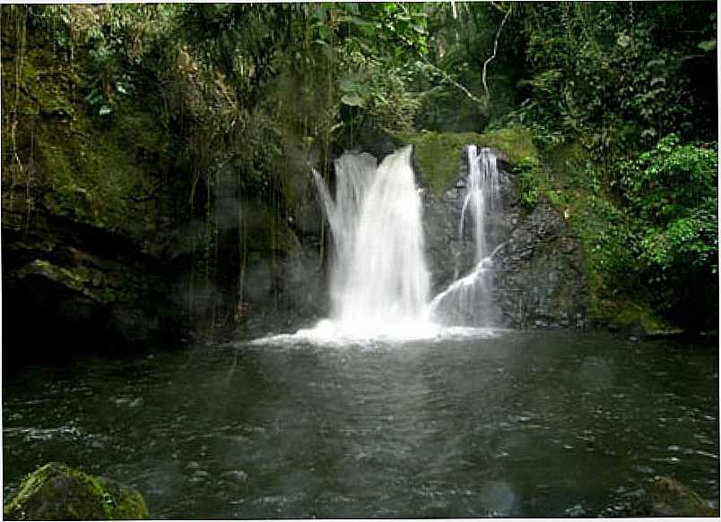 IBINA-SP-CACHOEIRA DA FUMAA-PARQUE ESTADUAL DO JURUPAR-FOTO:WWW.VALEDOSPASSAROS. - IBINA - SP