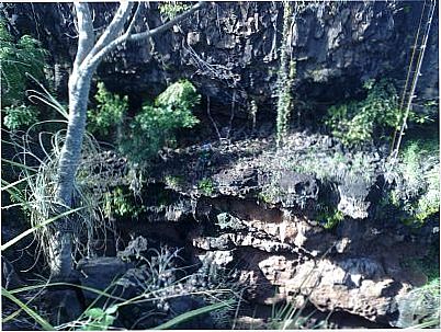 CANYON NA BARRINHA, ICM/SP., POR DILSON LEAL LUCAS - ICM - SP
