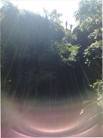 GARIS DA FLORESTA EM CANYON DA BARRINHA, ICM/SP., POR DILSON LEAL LUCAS - ICM - SP