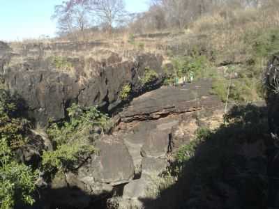 GARIS DA FLORESTA EM CANYON NA BARRINHA, ICM/SP., POR DILSON LEAL LUCAS - ICM - SP