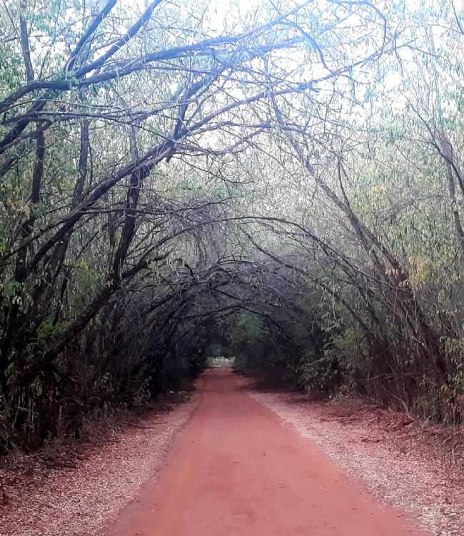 , POR DILSON - ICM - SP