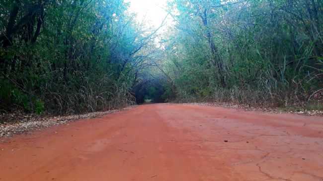 , POR DILSON - ICM - SP