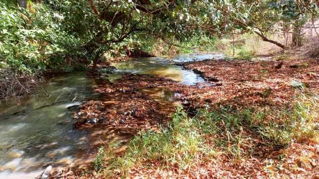 , POR DILSON - ICM - SP