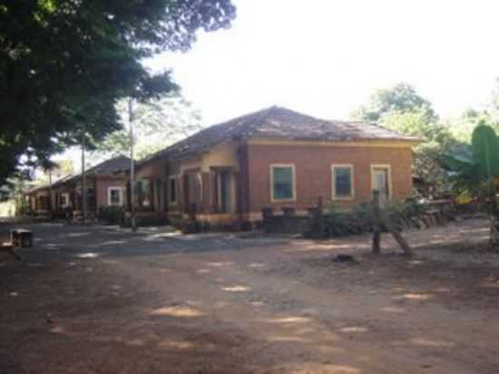 HORTO FLORESTAL, ICM/SP - GARIS DA FLORESTA., POR GARIS DA FLORESTA - ICM - SP
