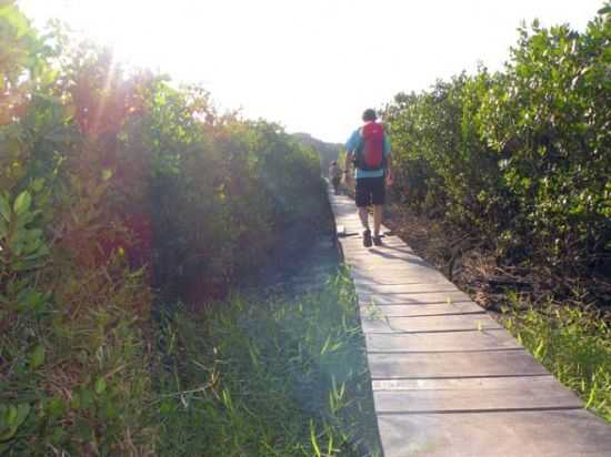 PONTE DA ALEGRIA-BARRA, POR ZELI CURCIO - IGUAPE - SP