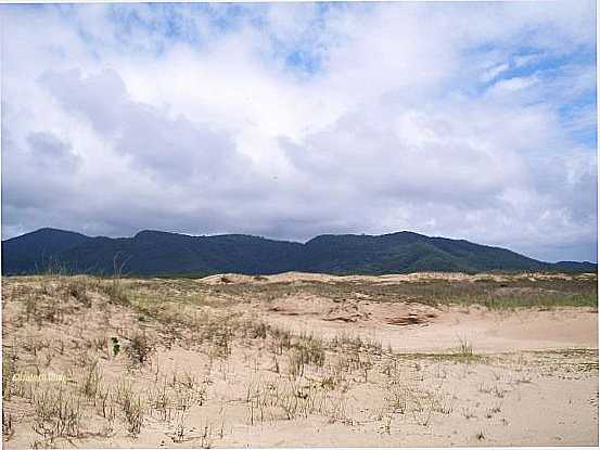 PONTA DA PRAIA..., POR ELIZABETH DINIZ - ILHA COMPRIDA - SP