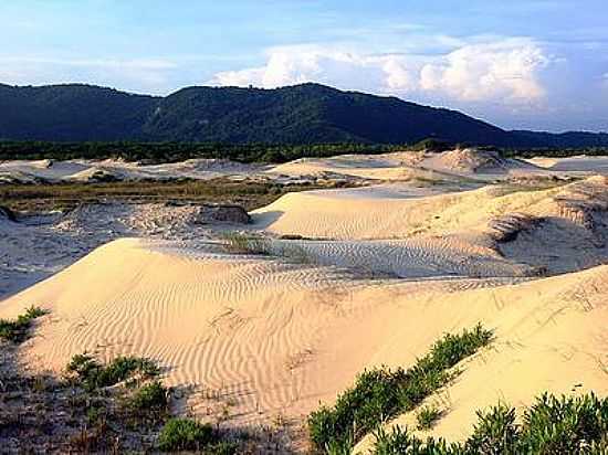 ILHA COMPRIDA - SP - ILHA COMPRIDA - SP