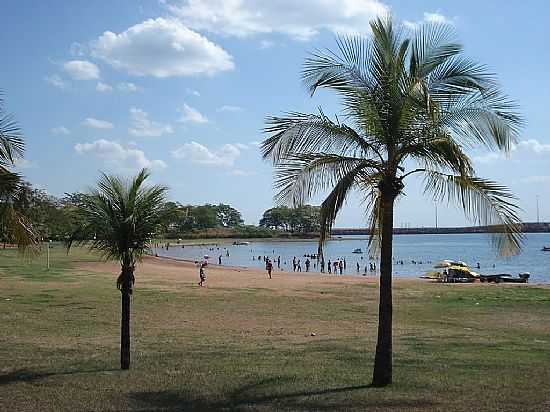 ILHA SOLTEIRA-SP-COQUEIROS NA PRAIA-FOTO:JESUS TONETE - ILHA SOLTEIRA - SP