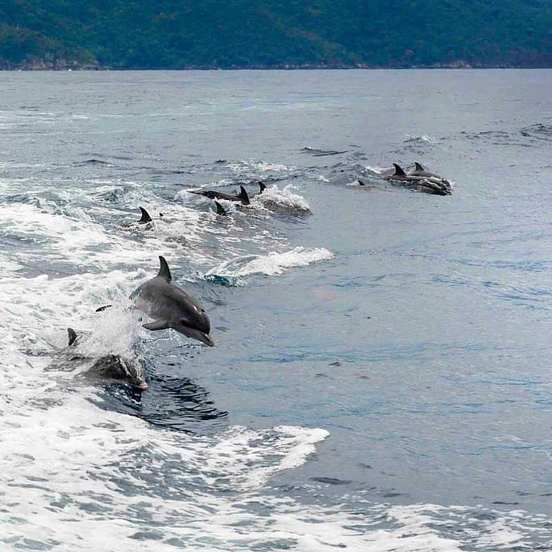 IMAGENS DA CIDADE DE ILHABELA - SP FOTO RICARDO IMAKAWA - ILHABELA - SP