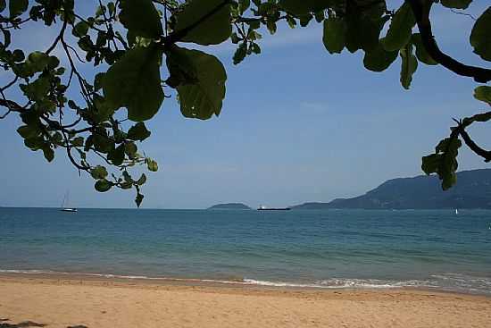 PRAIA DO CURRAL EM ILHABELA-SP-FOTO:PATYPECEGUINIVIANA - ILHABELA - SP