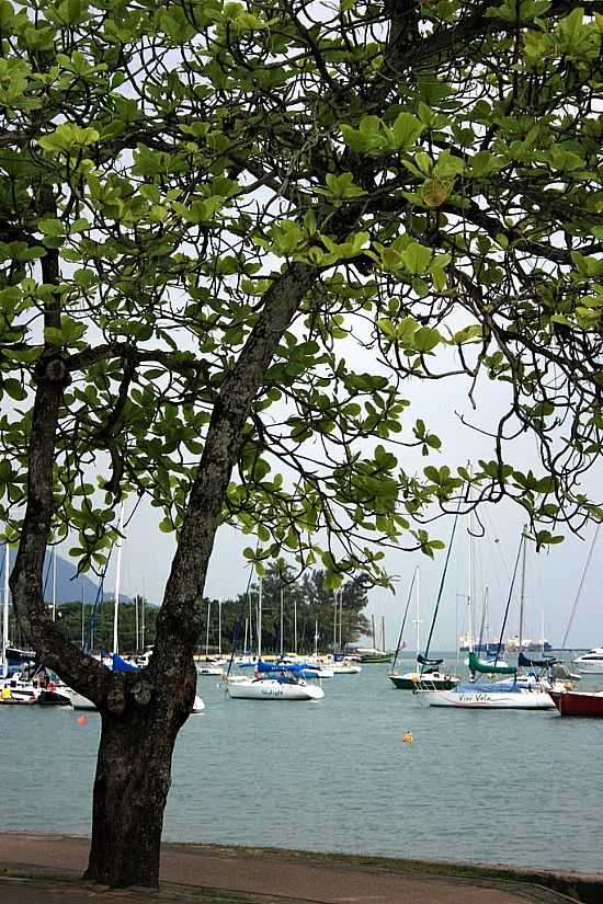 VISTA DA MARINA EM ILHABELA-SP-FOTO:PATYPECEGUINIVIANA - ILHABELA - SP