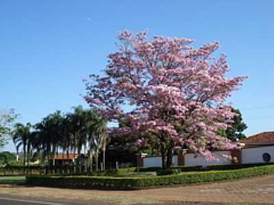 PRAA-FOTO:FLVIO SANTANNA  - INDIAPOR - SP