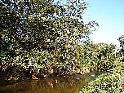 RIO PASSA CINCO FOTO
ROGRIO EIRADO - IPENA - SP