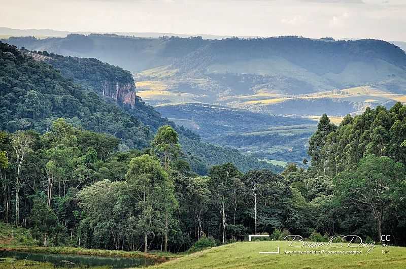 IPENA - SP  POR BRUNO KARKLIS  - IPENA - SP