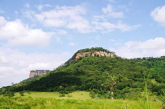 MORRO LINDO,TRILHA IPENA-FOTO:BETO GIANOTTO - IPENA - SP