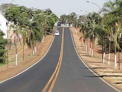 ENTRADA DA CIDADE-FOTO:MARIOPRF  - IPIGU - SP