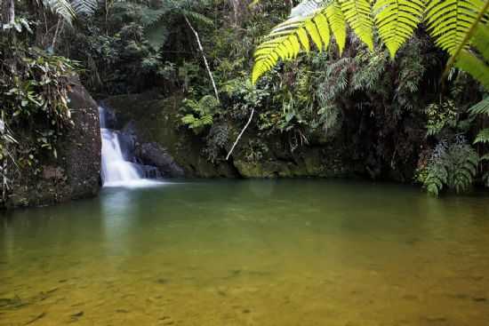 CACHOEIRA SEM FIM, POR POUSADA CASA DE PEDRA - IPORANGA - SP