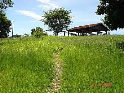 POR CARLOS MORI - IRAPURU - SP