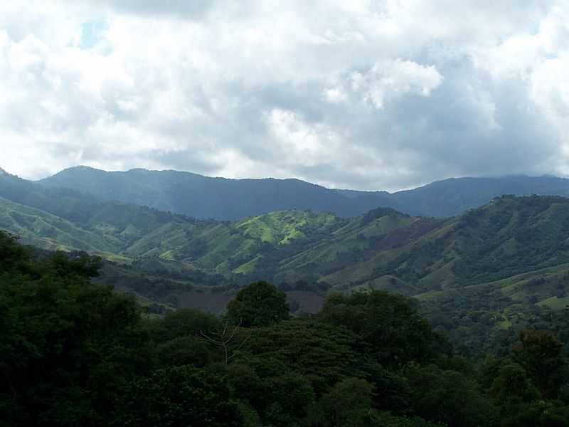 ITACA-SP-SERRA DE PARANAPIACABA-FOTO:VIDAL.MOTA - ITACA - SP