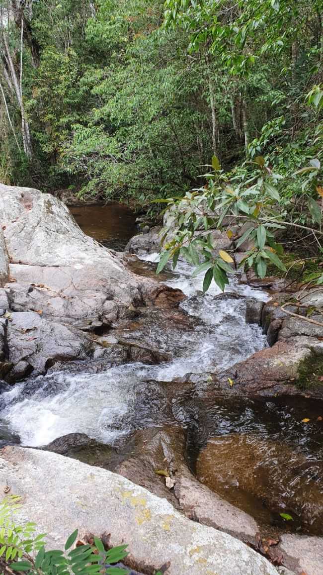 VARADOURO - NASCENTE DO RIO RIBEIRA  - ITAOCA/SP, POR CELSO VICK - ITACA - SP