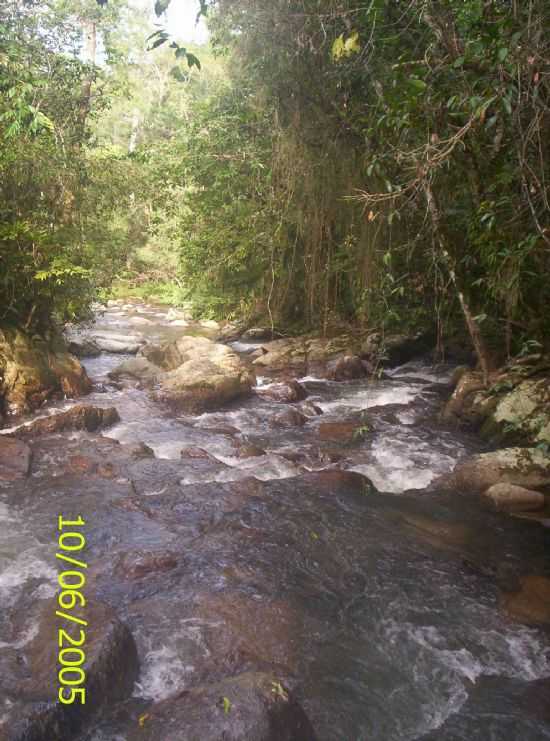 , POR LOIR TIGRE - ITAPIRAPU PAULISTA - SP