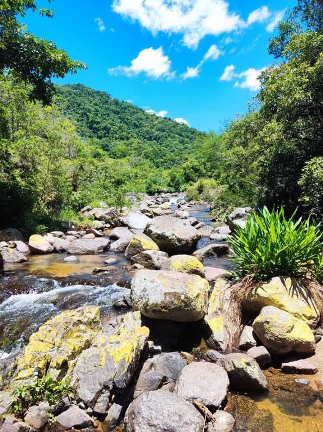 FOTO TIGRE- RIO CORDAS GRANDE, POR TIGRE CAMARGO - ITAPIRAPU PAULISTA - SP