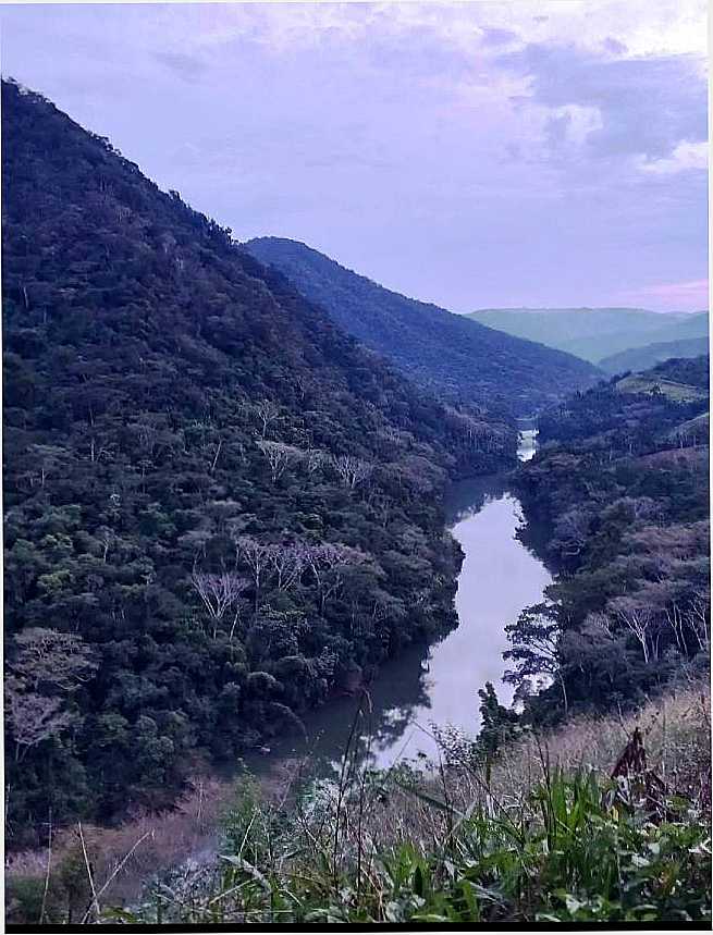 POR TIGRE CAMARGO - ITAPIRAPU PAULISTA - SP