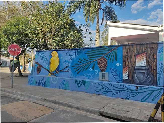 POR TIGRE CAMARGO - ITAPIRAPU PAULISTA - SP