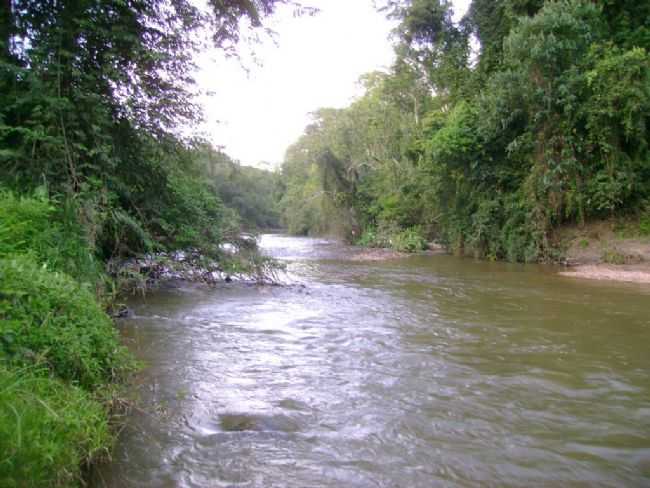 POR TIGRE CAMARGO - ITAPIRAPU PAULISTA - SP