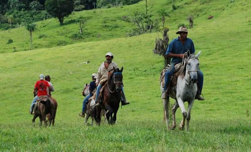 DESENVOLVIMENTO DO TURISMO RURAL - ITAPORANGA - SP