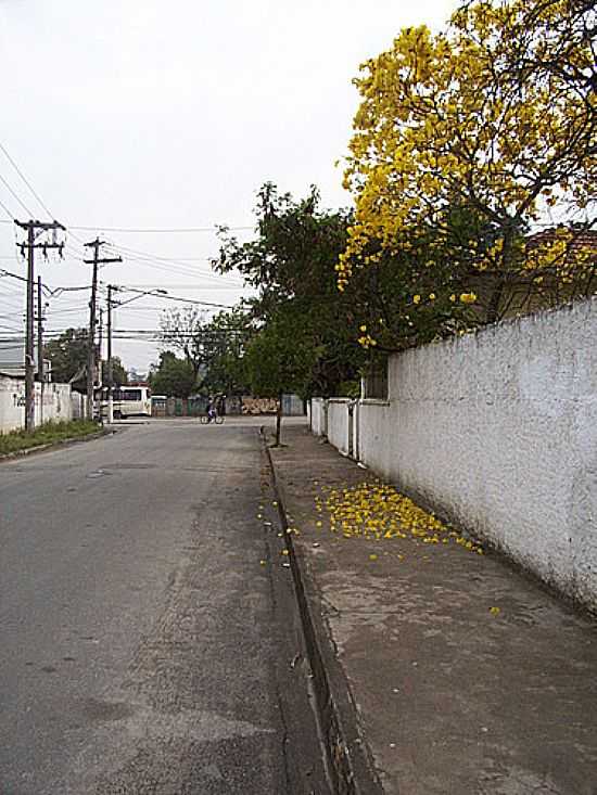 IP AMARELO NA RUA RIO SO FRANCISCO EM ITAQUAQUECETETUBA-FOTO:KACINSKAS - ITAQUAQUECETUBA - SP