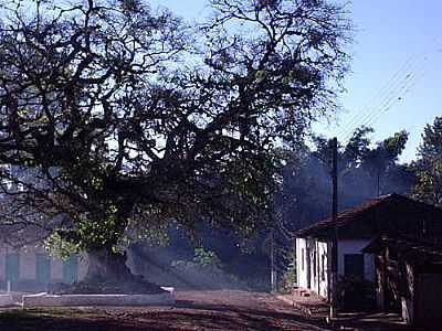 ITAQUERI DA SERRA-FOTO:NANDICE  - ITAQUERI DA SERRA - SP