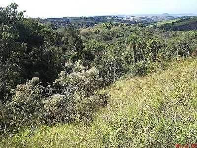 VISTA DA SERRA DE ITAQUERI-FOTO:MARCO AURELIO ESPARZ  - ITAQUERI DA SERRA - SP