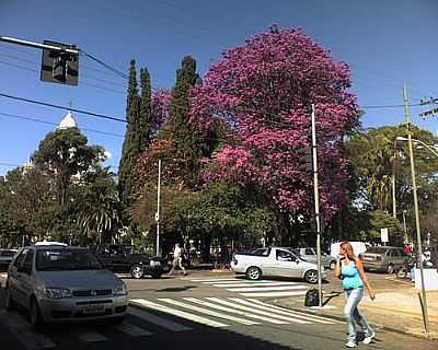 ITATIBA FOTO POR SPERANDELLI   - ITATIBA - SP