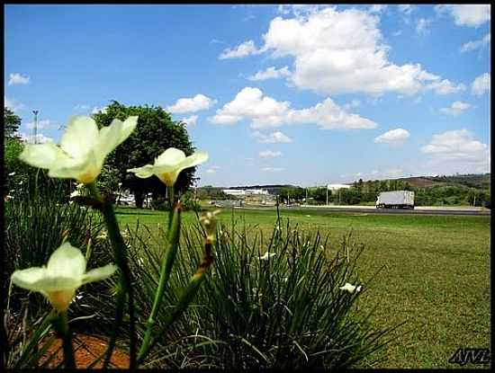 PARQUE E VISTA DA RODOVIA EM ITATIBA-SP-FOTO:ANTONIOJVIDAL - ITATIBA - SP