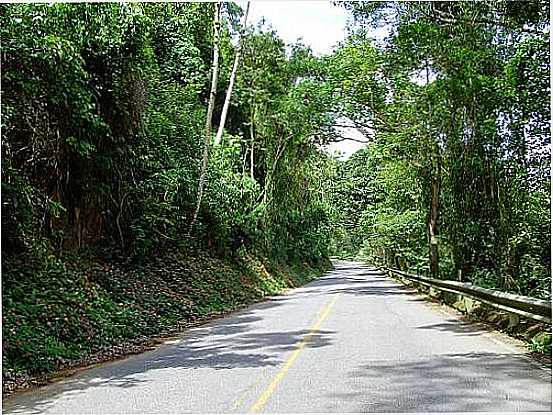 ESTRADA PARQUE[DOS ROMEIROS] EM ITU-SP-FOTO:CAIO GRACO MACHADO - ITU - SP