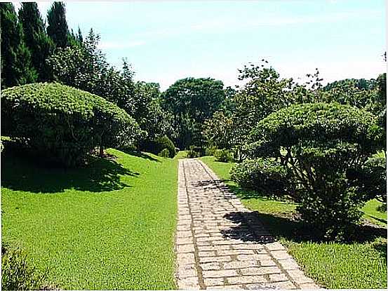 JARDIM NO PESQUEIRO E POUSADA MAEDA EM ITU-SP-FOTO:ERNANDES C SANTOS - ITU - SP