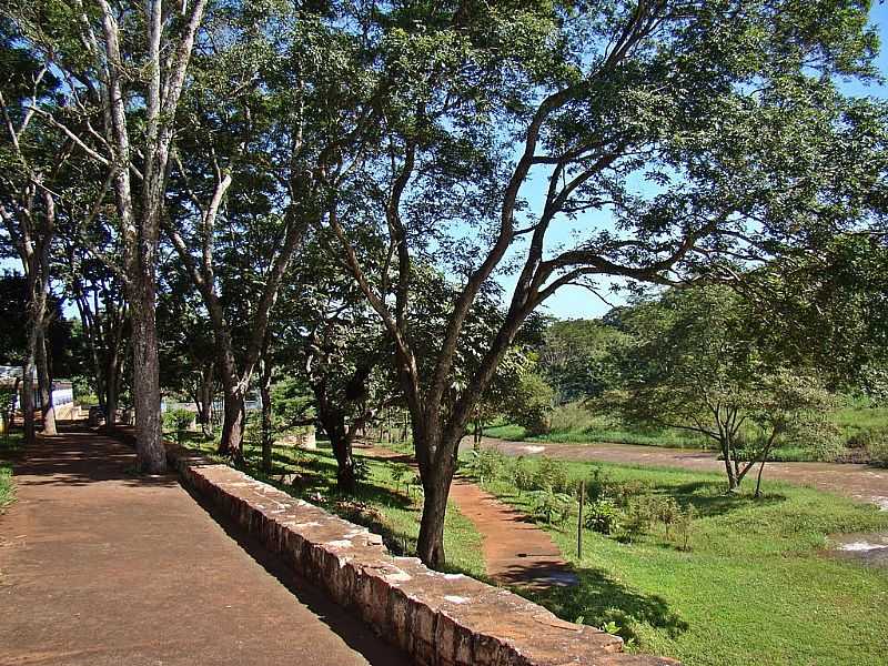 ITUVERAVA-SP-REA VERDE E O RIO NO PARQUE RECREIO-FOTO:ALEXANDRE BONACINI - ITUVERAVA - SP